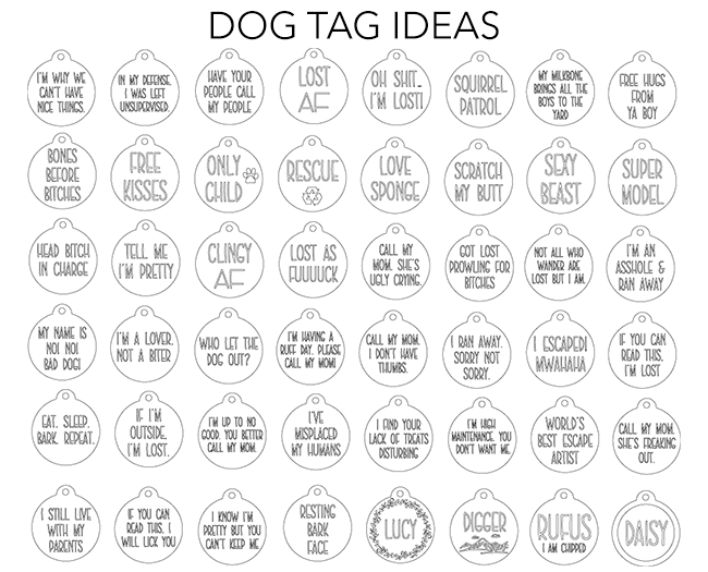 Bone Shaped Stainless Steel Engraved Pet Tags image 3